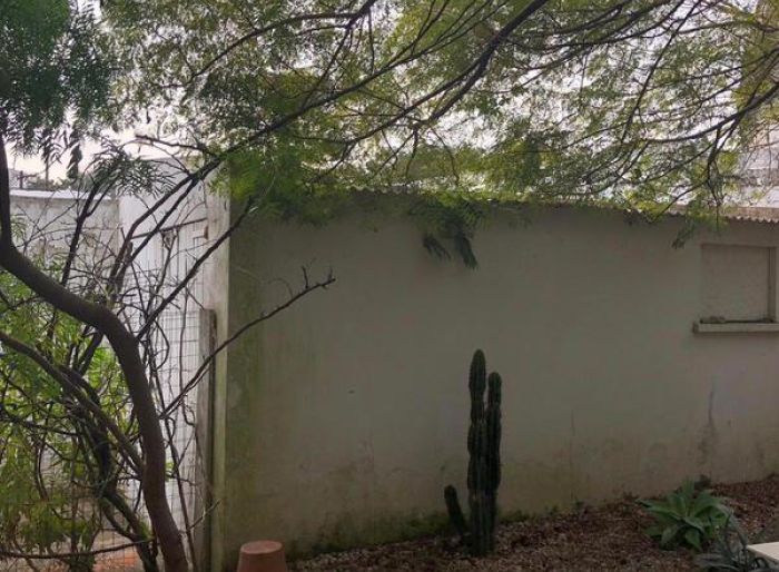 imagen  de la propiedad 99988