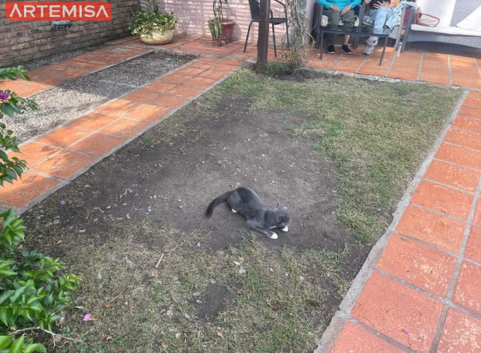 imagen  de la propiedad 174983