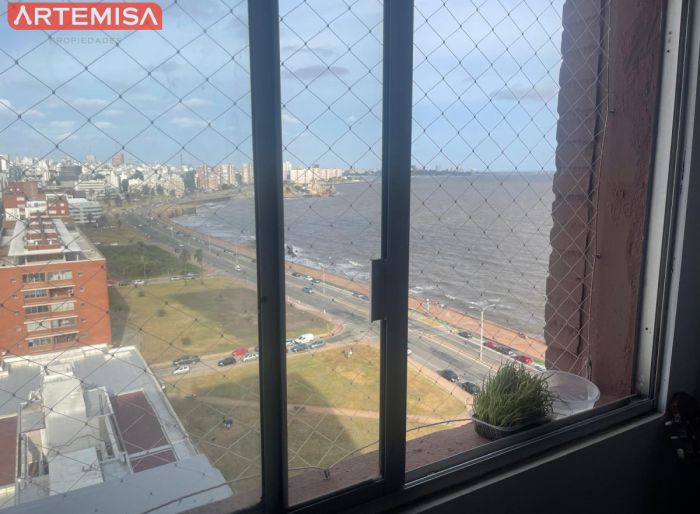 imagen  de la propiedad 175072