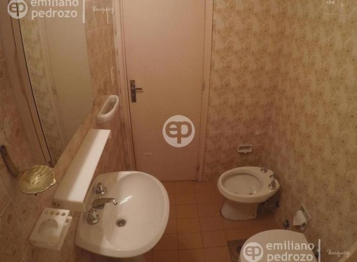 imagen  de la propiedad 104244