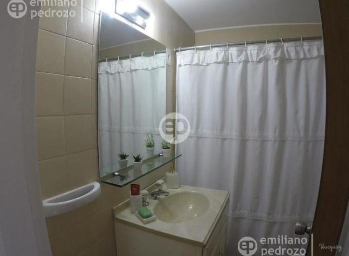 imagen  de la propiedad 104246
