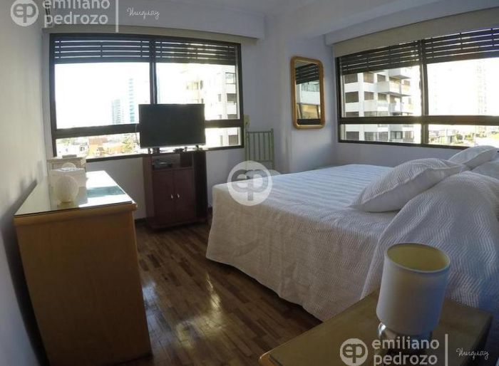 imagen  de la propiedad 104246