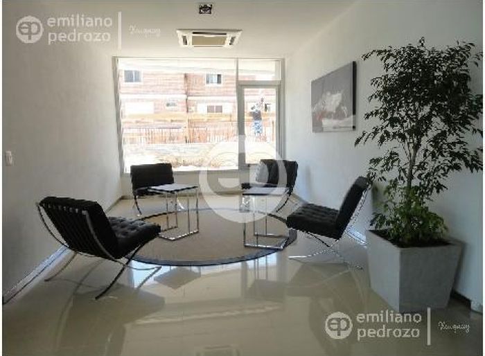 imagen  de la propiedad 104290