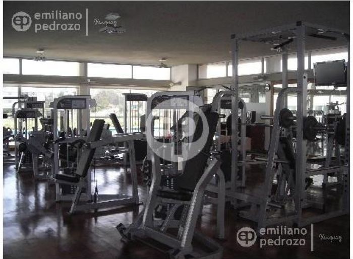 imagen  de la propiedad 104312