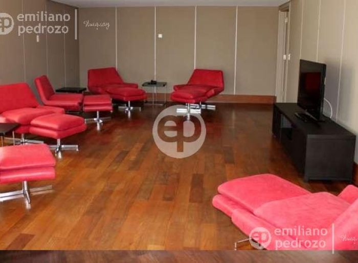 imagen  de la propiedad 104325