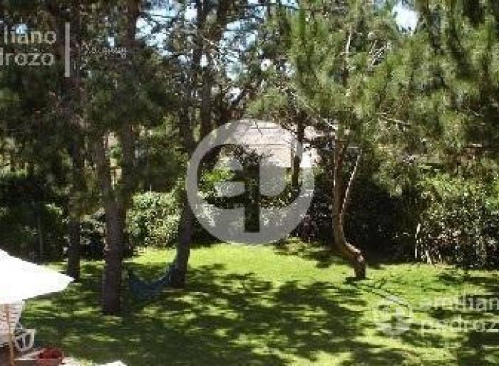 imagen  de la propiedad 104326