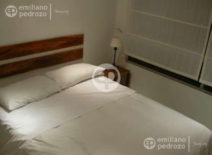 imagen  de la propiedad 104356