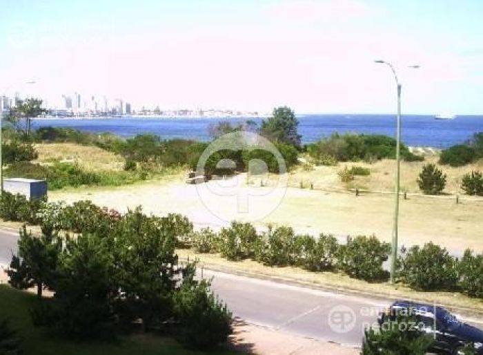 imagen  de la propiedad 104505