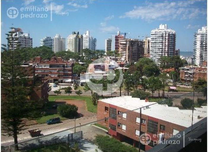 imagen  de la propiedad 104555