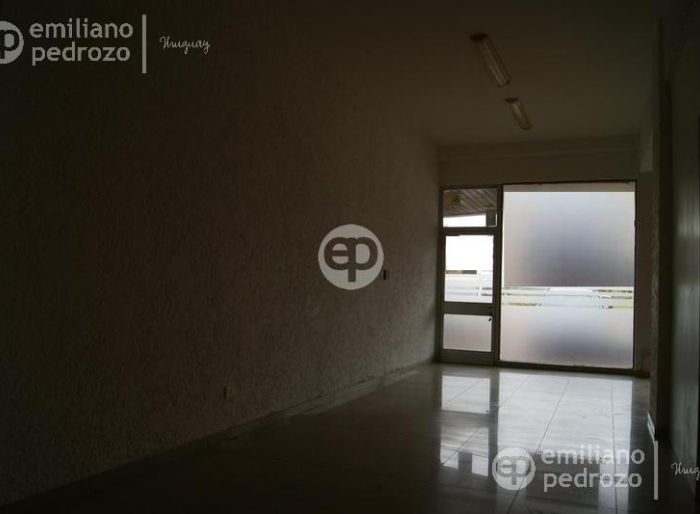 imagen  de la propiedad 104607