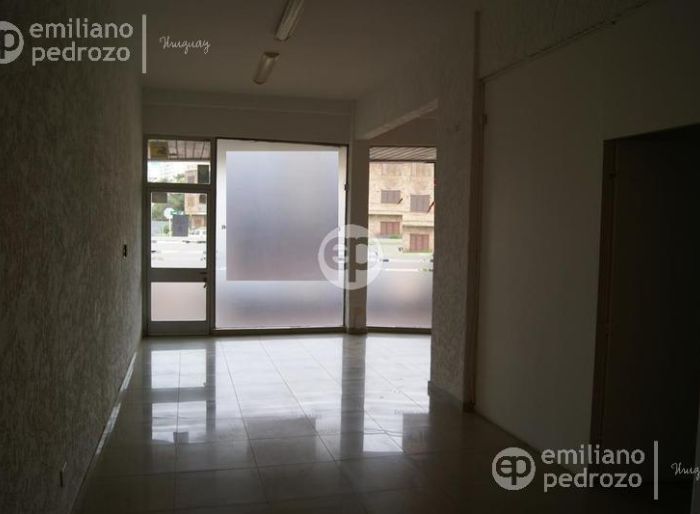 imagen  de la propiedad 104607
