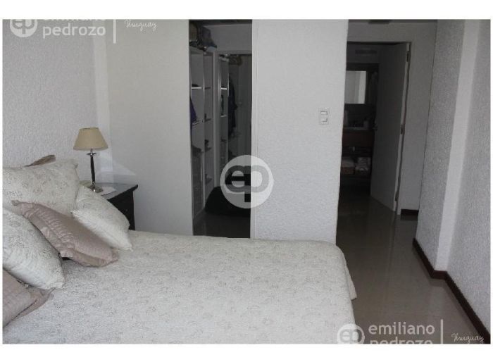 imagen  de la propiedad 104615