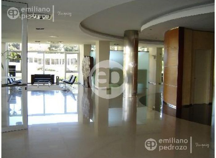 imagen  de la propiedad 104701