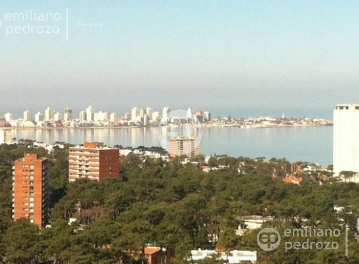 imagen  de la propiedad 104864