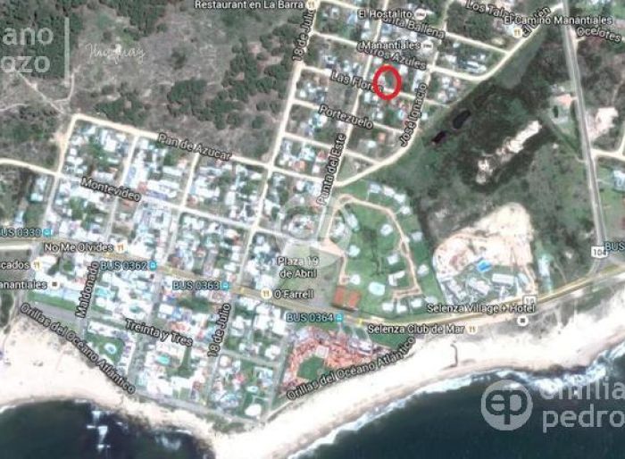imagen  de la propiedad 104886