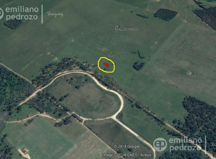 imagen  de la propiedad 104916