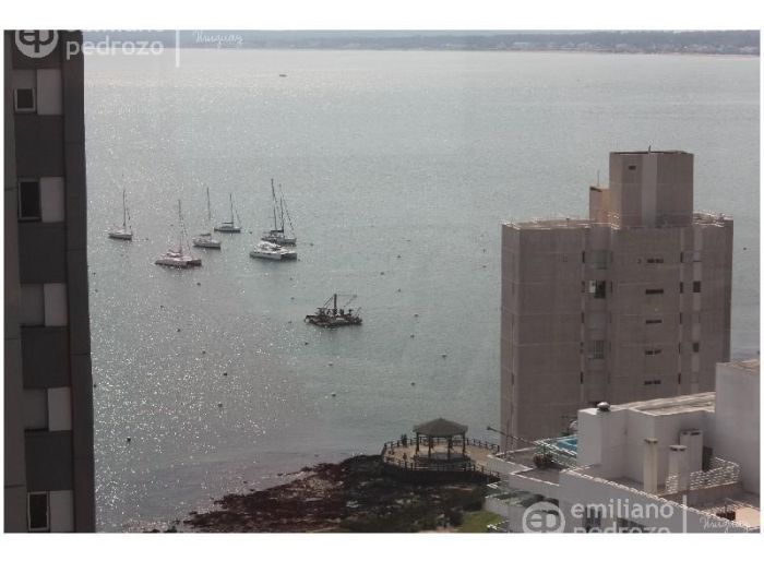imagen  de la propiedad 105036