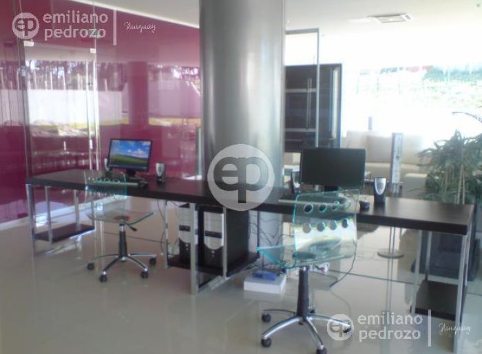 imagen  de la propiedad 105171