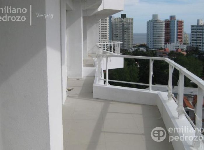 imagen  de la propiedad 105244