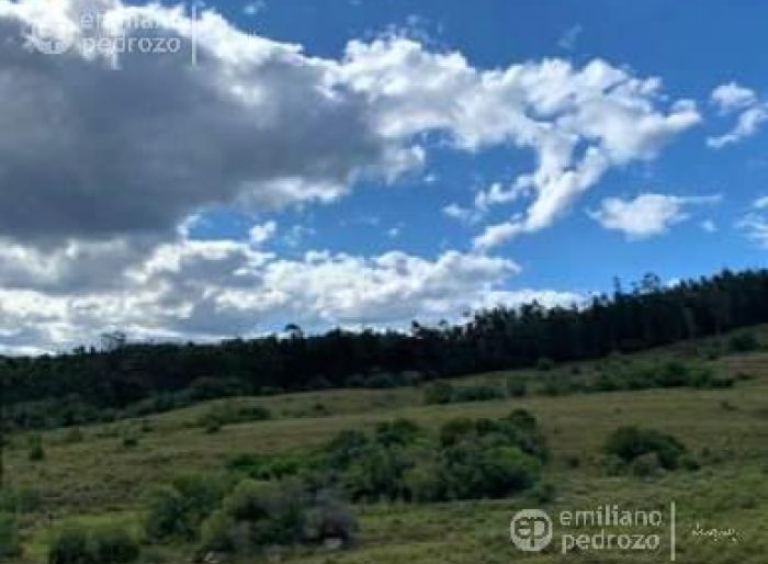 imagen  de la propiedad 105254