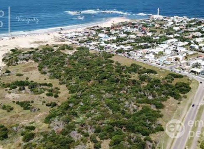 imagen  de la propiedad 105398