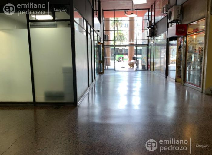 imagen  de la propiedad 105470
