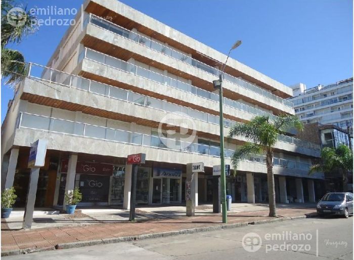 imagen  de la propiedad 105621