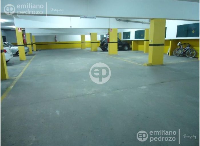 imagen  de la propiedad 105621