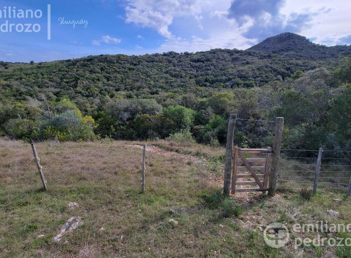imagen  de la propiedad 105825