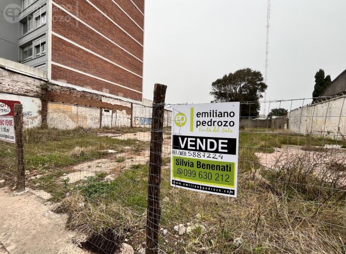 imagen  de la propiedad 105937