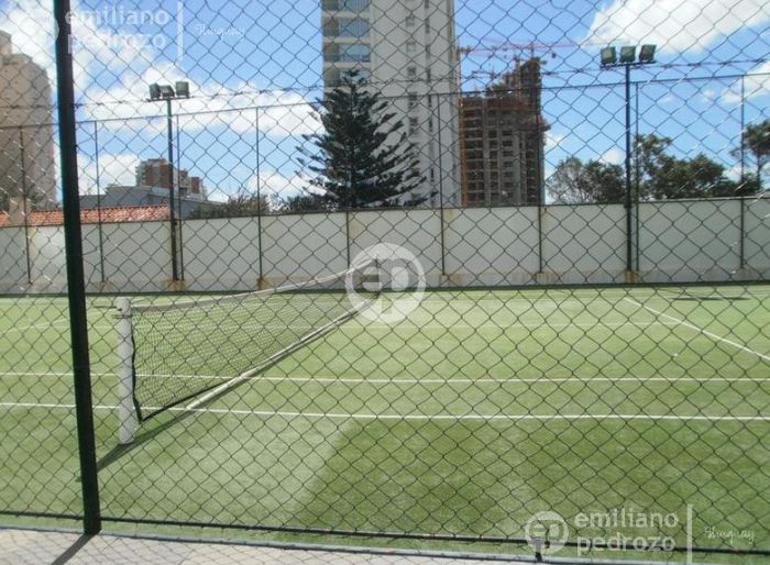 imagen  de la propiedad 106029