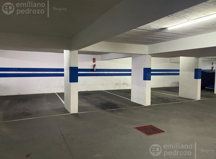 imagen  de la propiedad 110490
