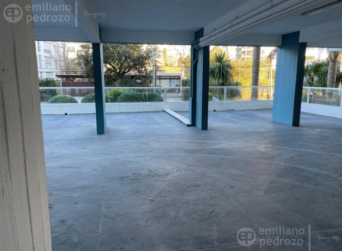 imagen  de la propiedad 110490
