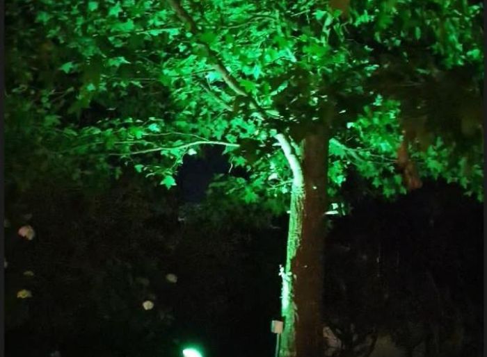 imagen  de la propiedad 111253