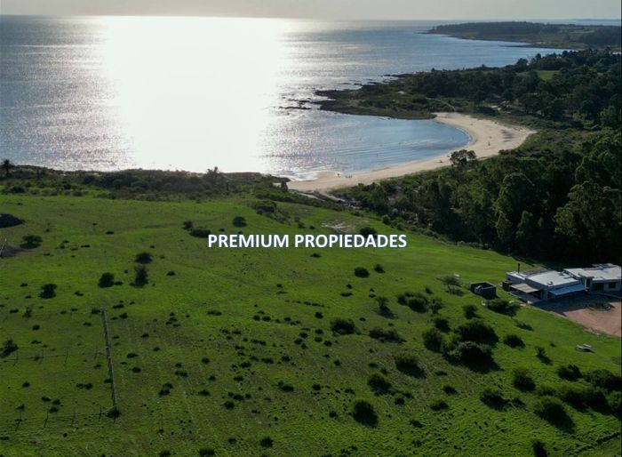 imagen  de la propiedad 163640