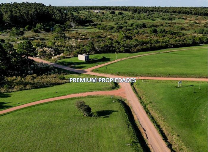 imagen  de la propiedad 163640