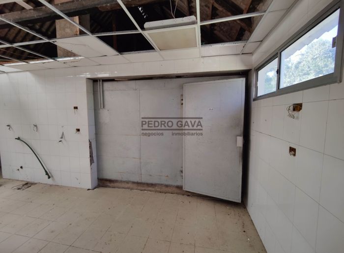 imagen  de la propiedad 114323