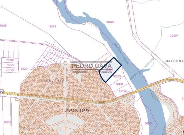 imagen  de la propiedad 116702
