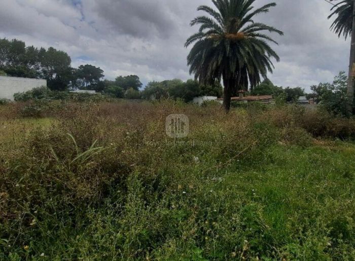 imagen  de la propiedad 116411