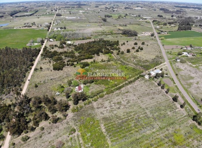 imagen  de la propiedad 117912