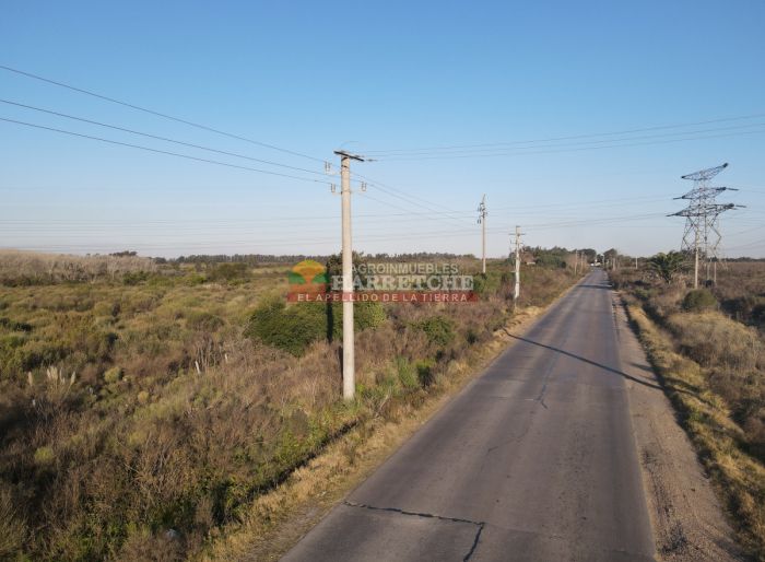 imagen  de la propiedad 117919