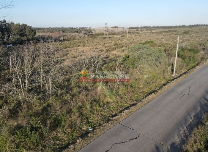imagen  de la propiedad 117919