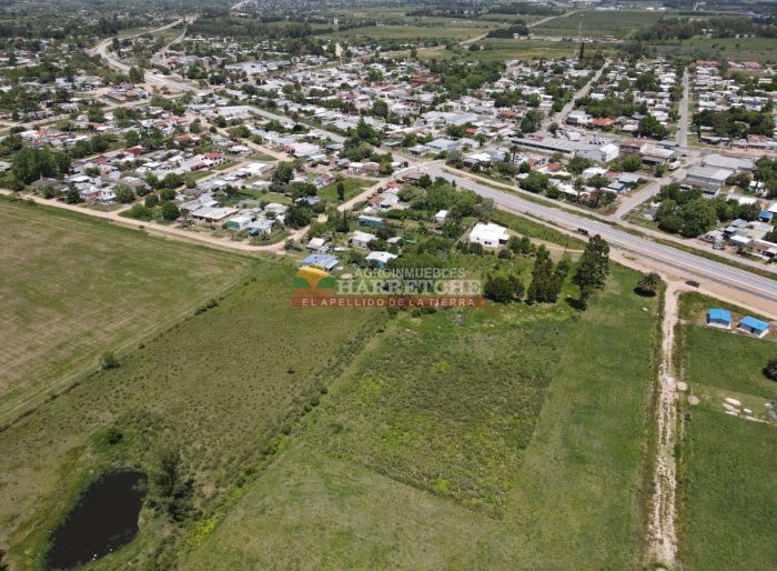 imagen  de la propiedad 117932
