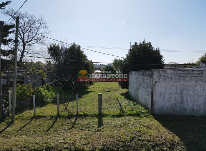 imagen  de la propiedad 117946