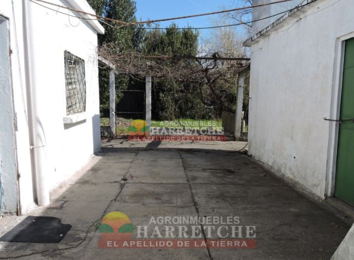 imagen  de la propiedad 117947