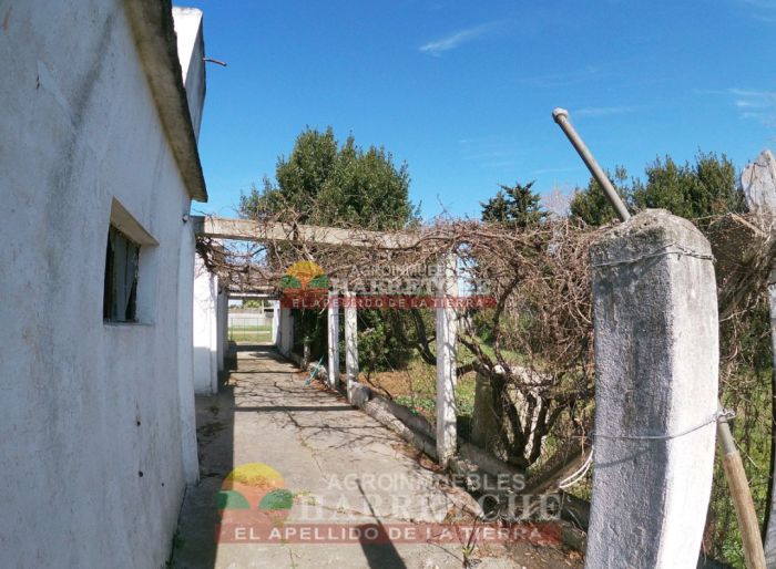 imagen  de la propiedad 117947