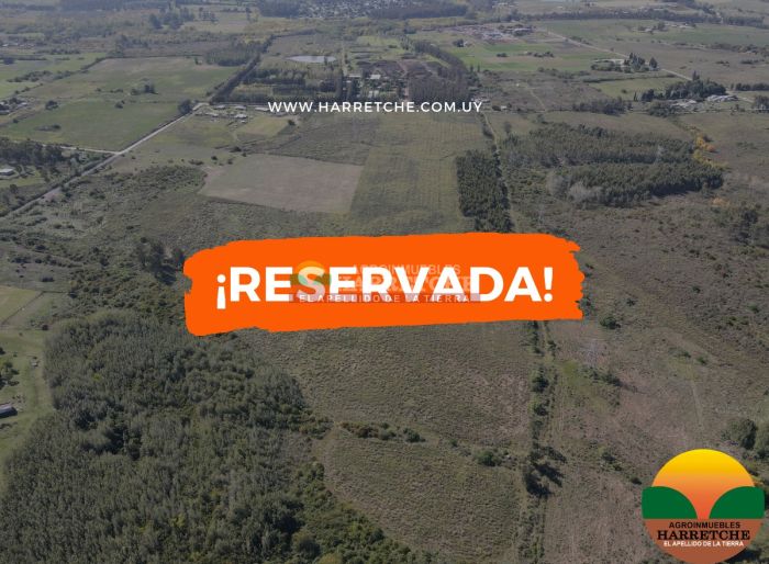 imagen  de la propiedad 117953