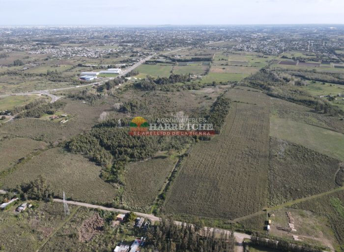 imagen  de la propiedad 117953