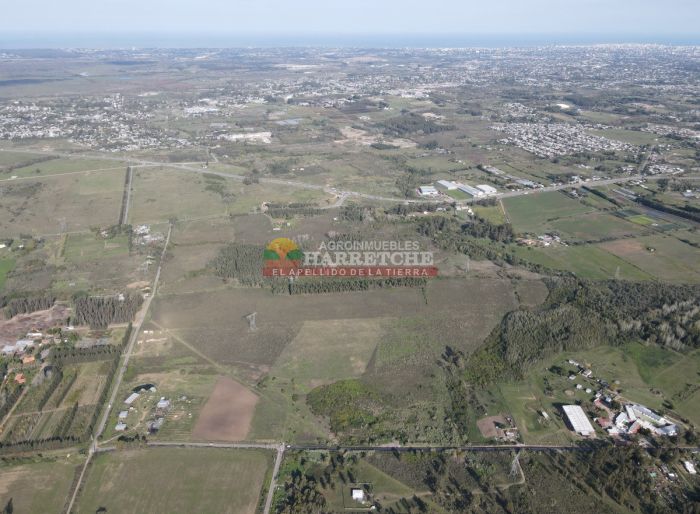 imagen  de la propiedad 117953