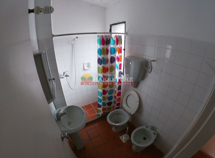 imagen  de la propiedad 117957